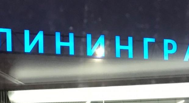 Калининград. Консультация нейрореаниматологом пациента с аневризмами головного мозга.