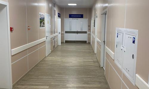 Консультация нашим нейрохирургом в ЦРБ г. ИСТРА (Московской области) больной 65 лет с опухолью головного мозга для госпитализации в профильный московский  стационар.